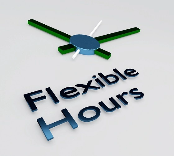 Web Design Services Flexibility